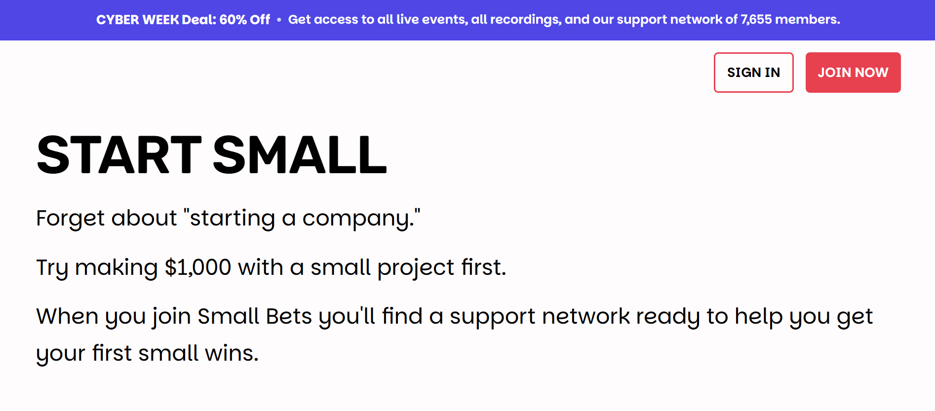 Small Bets Review: The "Portfolio of Small Bets" Blueprint for Solopreneurs